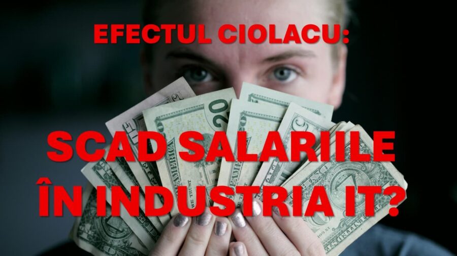Noi impozite și taxe, scad salariile din IT